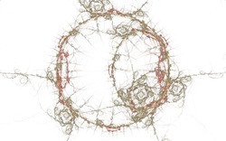 2014 05 30 Nameless Horse 17-white.jpg